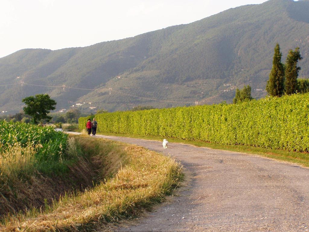 Agriturismo La Pisana Natur billede