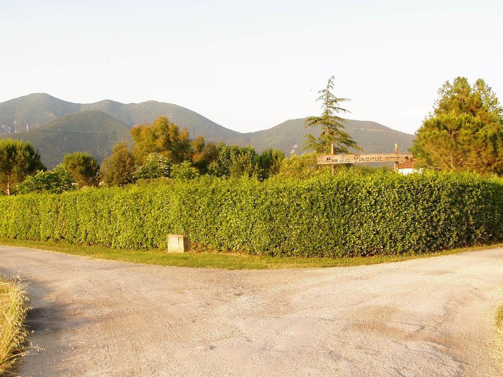 Agriturismo La Pisana Eksteriør billede